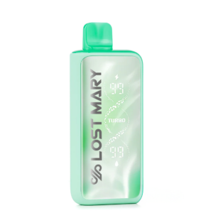 WINTERMINT WINTER MINT LOST MARY MT35K TURBO