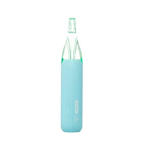 MINT FLUM FLOAT X 10K