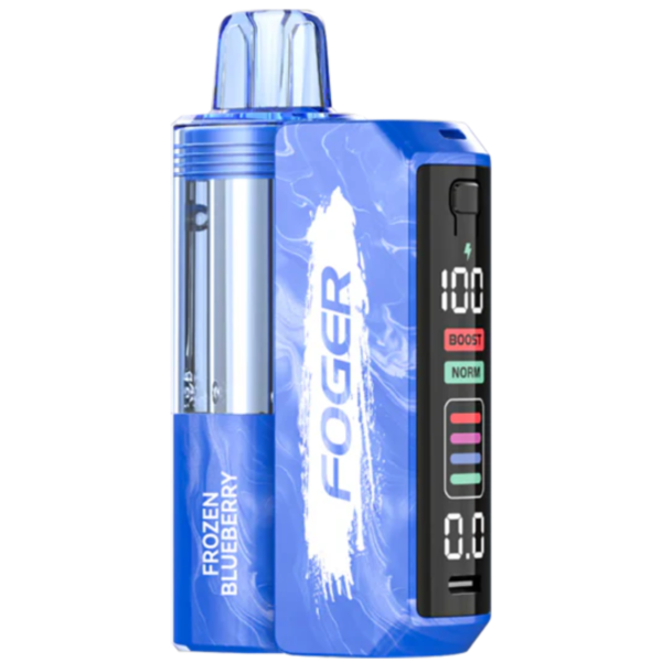 Frozen Blueberry Foger Switch Pro 30K